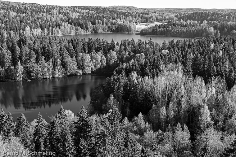 Die Wälder Finnlands